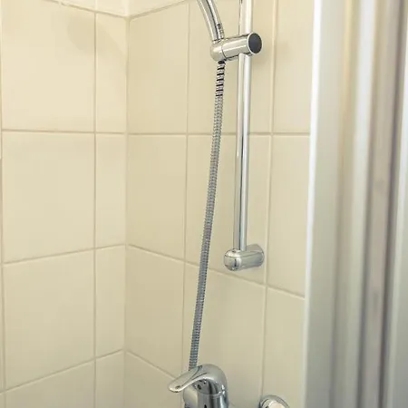 Cactus Free Parking For A Standard Car *