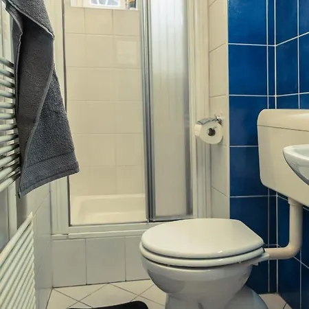 Cactus Free Parking For A Standard Car