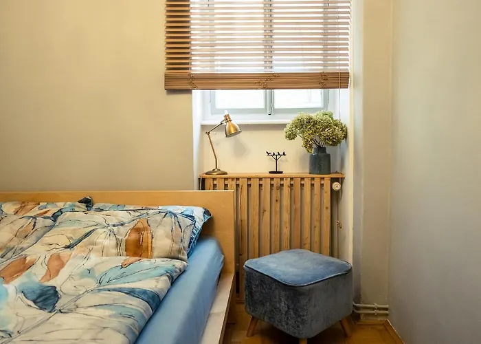 Cactus Free Parking For A Standard Car Apartment *