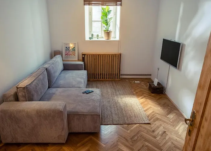 Cactus Free Parking For A Standard Car Apartment *