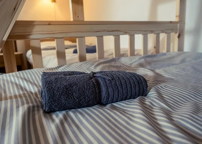 Cactus Free Parking For A Standard Car